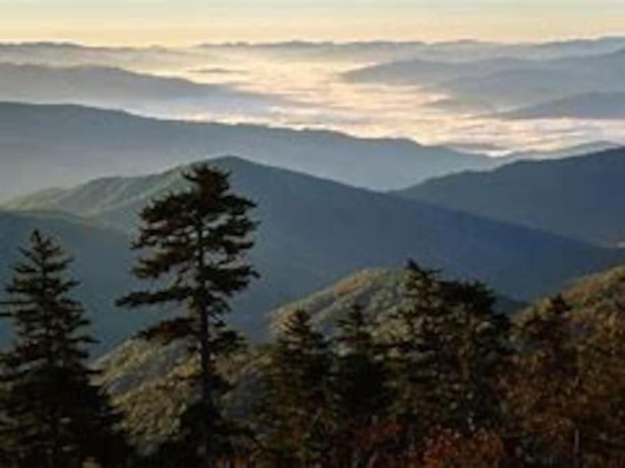 1 Mi To Dollywood Mins To All Attractions & Gsmnp 세비어빌 외부 사진