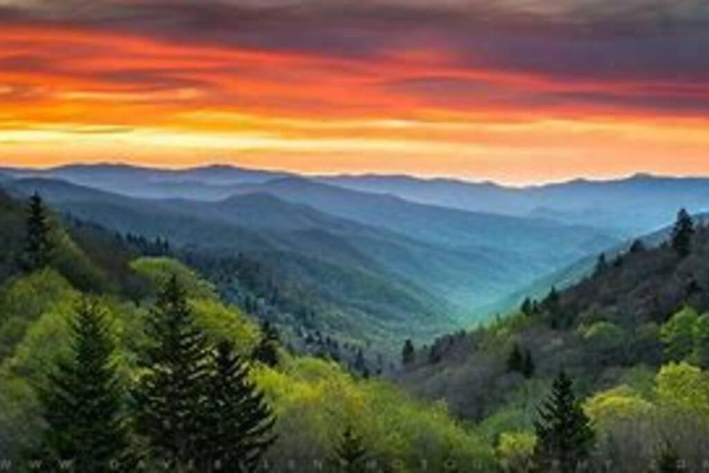 1 Mi To Dollywood Mins To All Attractions & Gsmnp 세비어빌 외부 사진