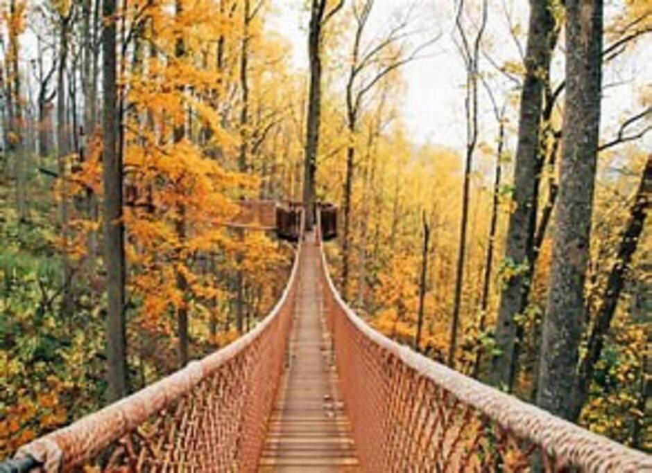 1 Mi To Dollywood Mins To All Attractions & Gsmnp 세비어빌 외부 사진